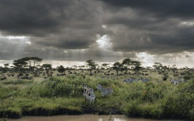 A Taste of Tanzania & Zanzibar