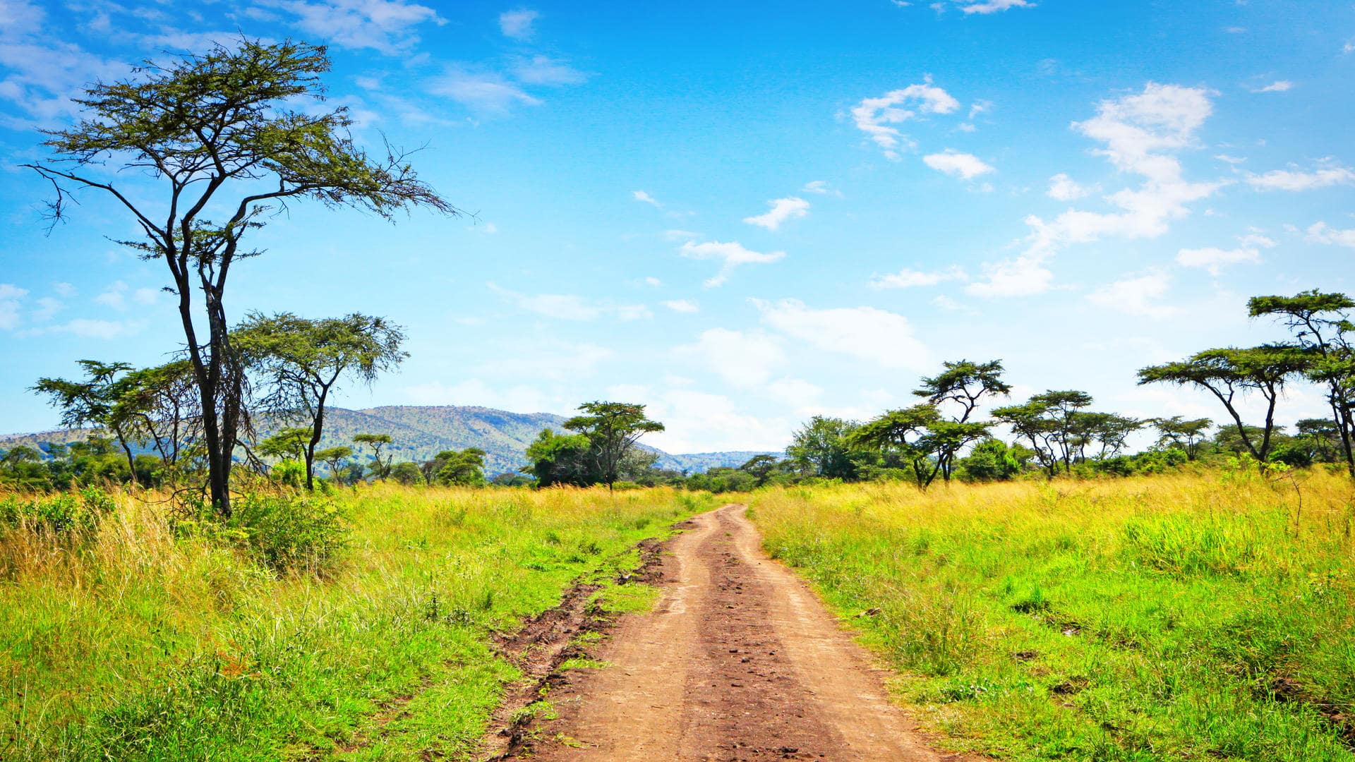 Akagera National Park
