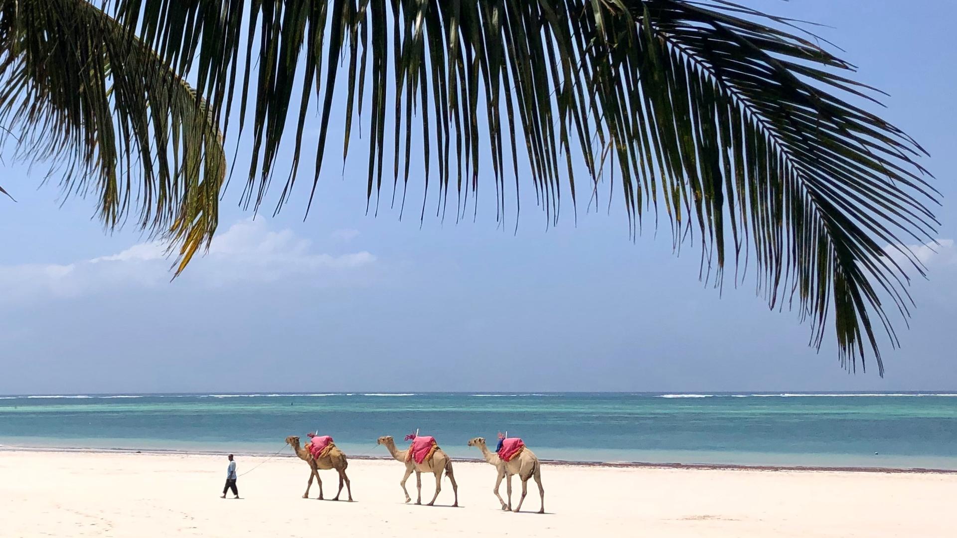 Diani Beach
