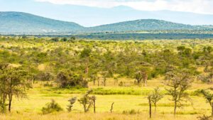 Laikipia South