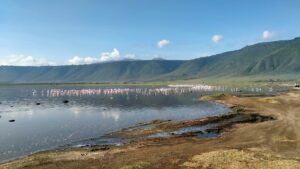 Lake Naivasha