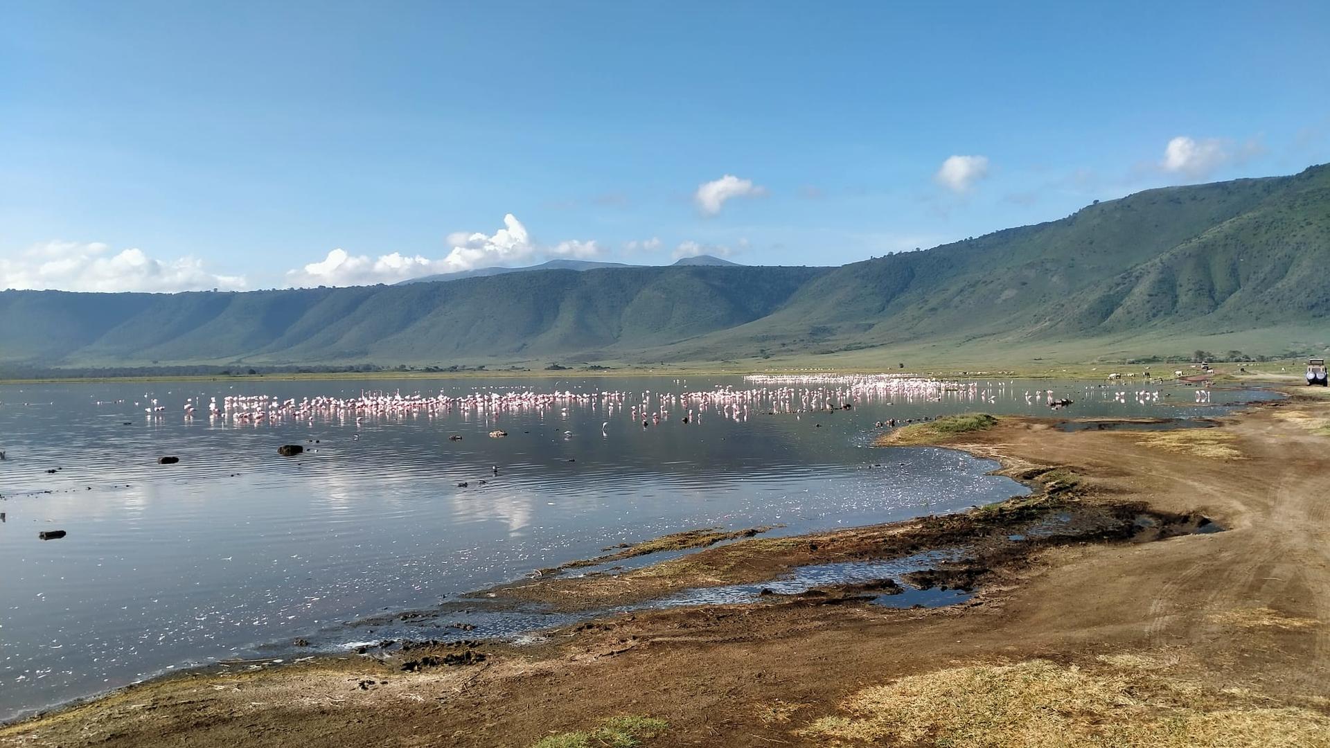 Lake Naivasha