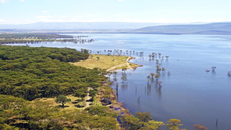Lake Nakuru