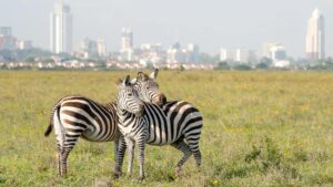 Nairobi