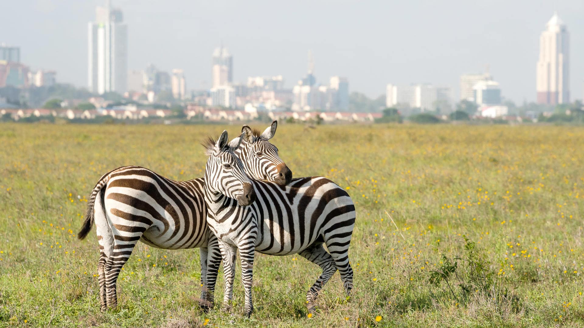 Nairobi