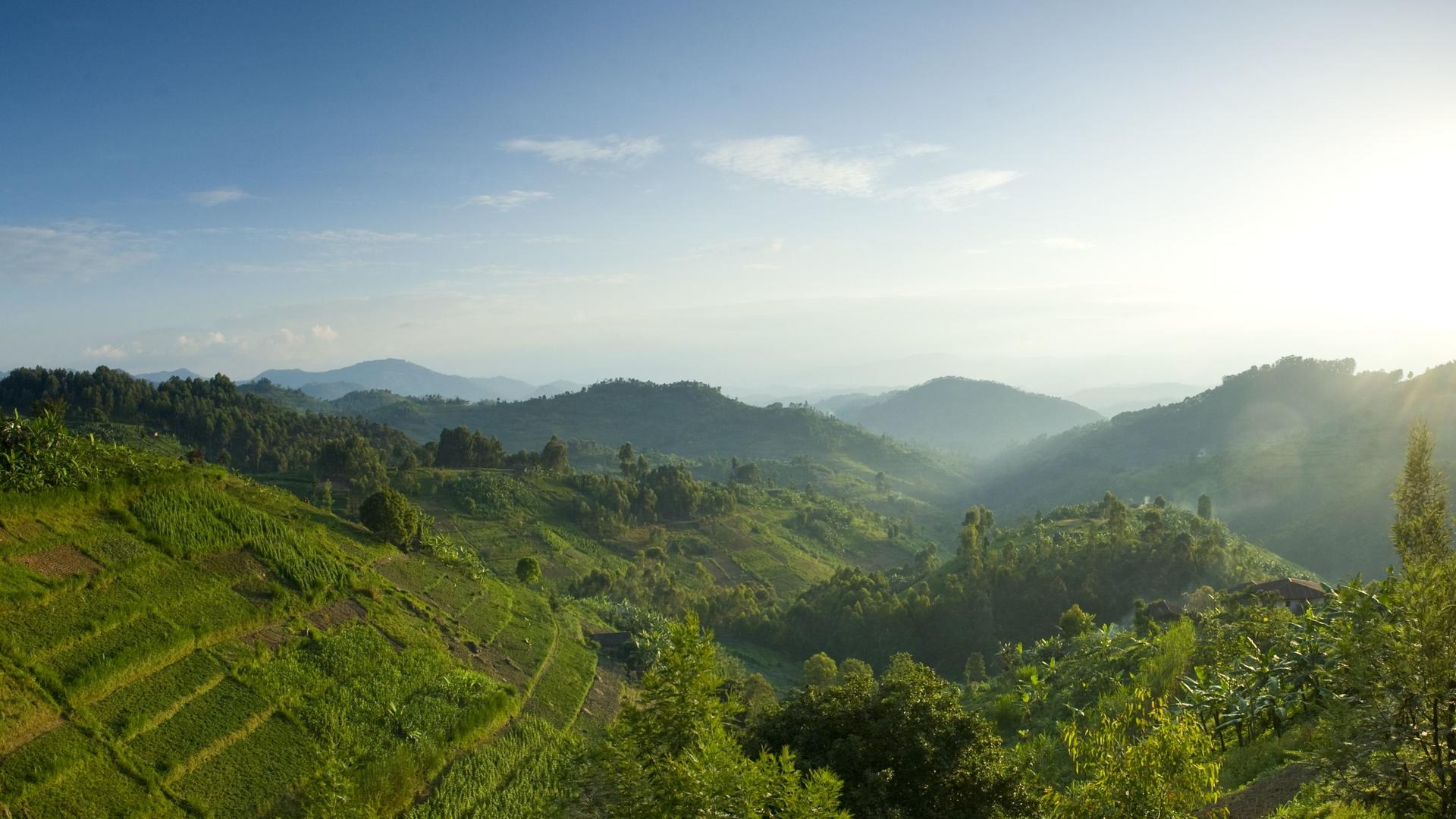 Nyungwe Forest National Park