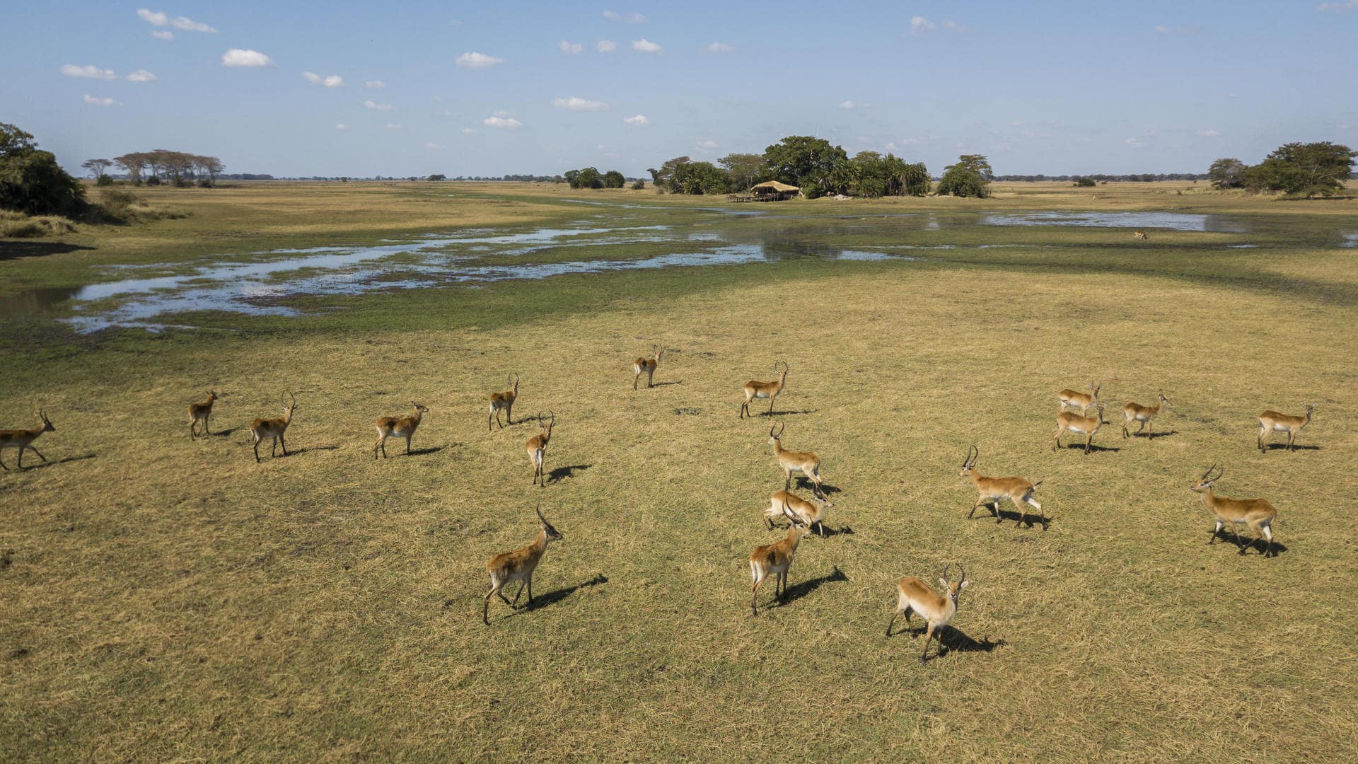 Kafue National Park