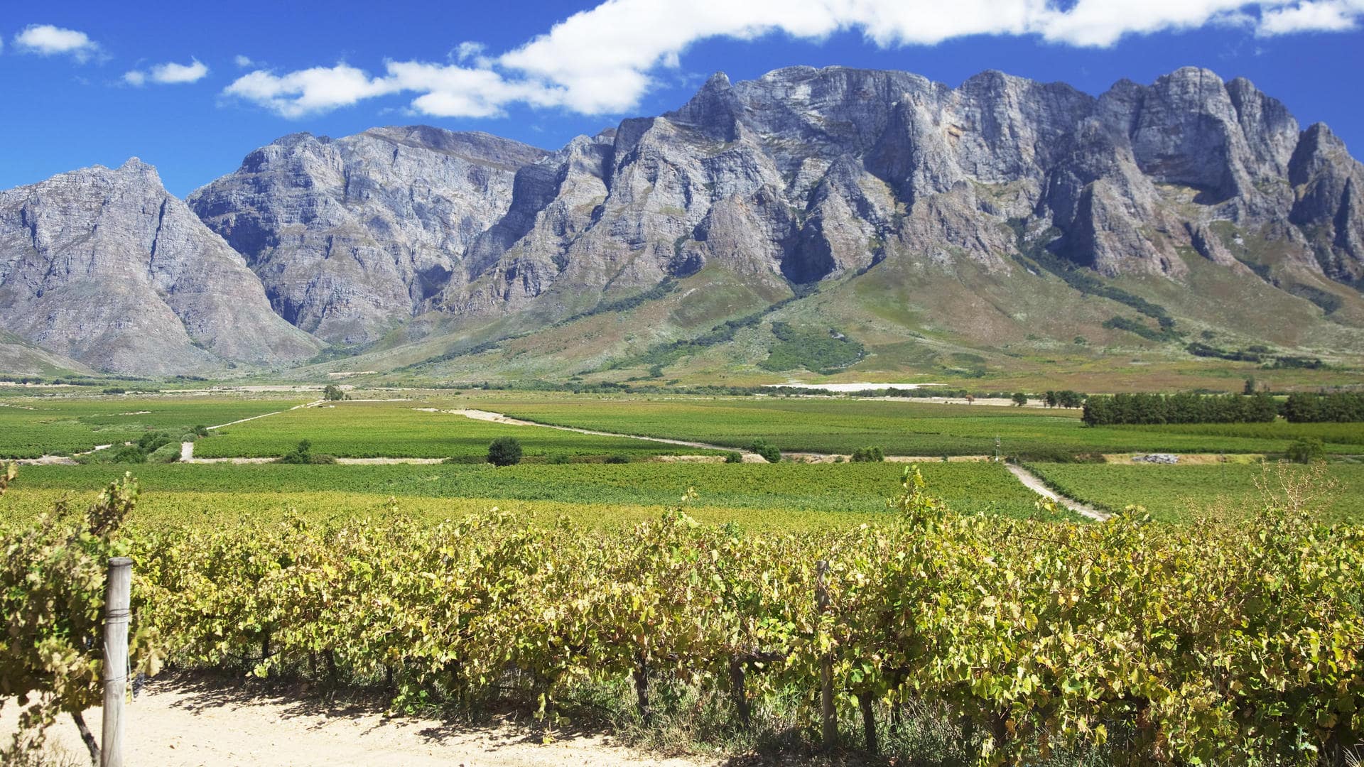 The Winelands (Stellenbosch, Franschhoek, & Paarl)