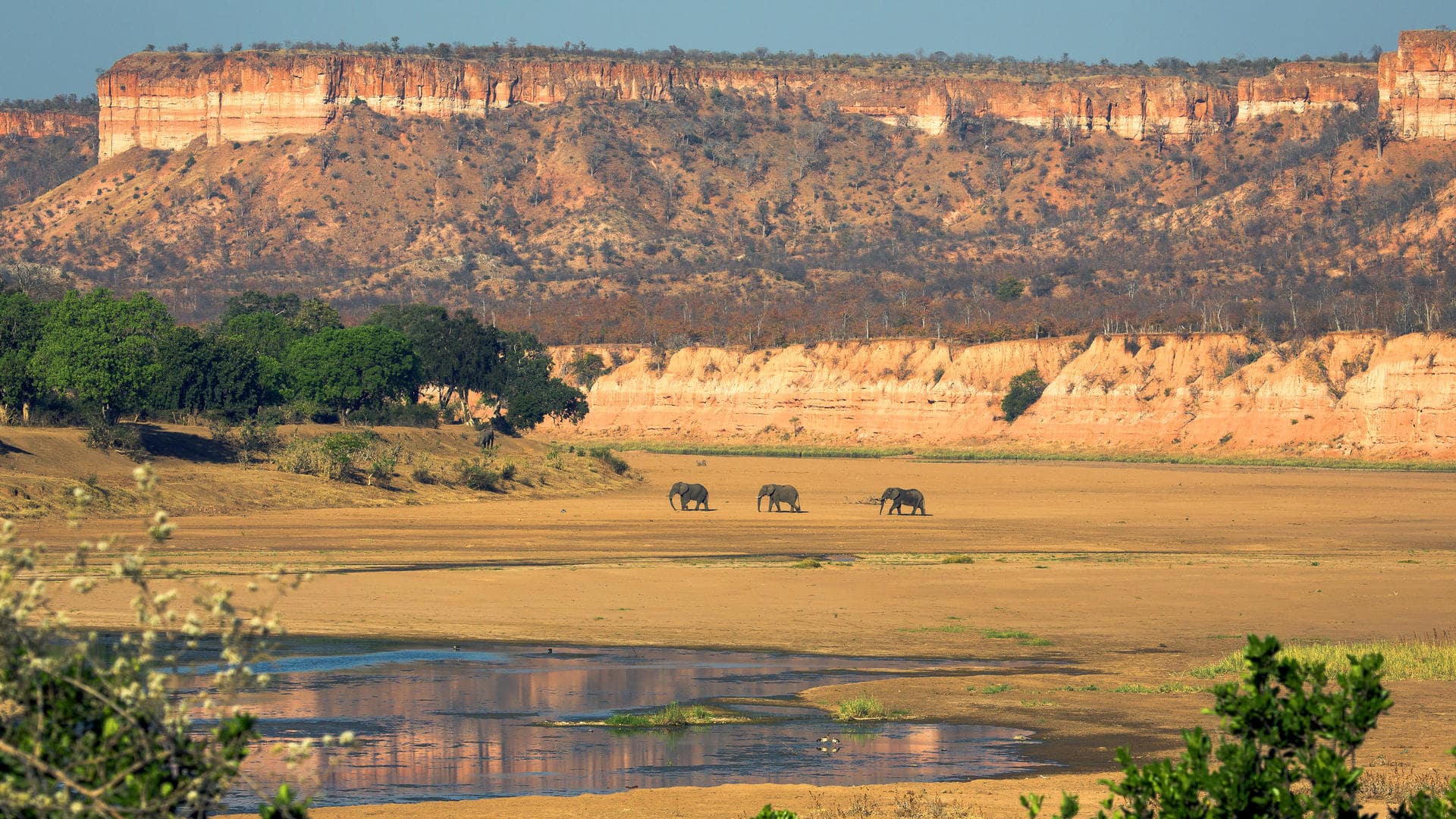 Zimbabwe: Wonders & Wildlife