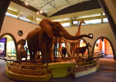 Karen Blixen Museum & Cultural Tour