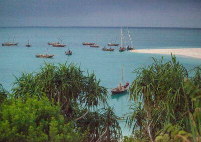 Dhow Sunset Cruises