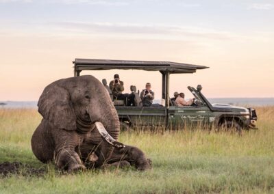 Kenya Game Drives