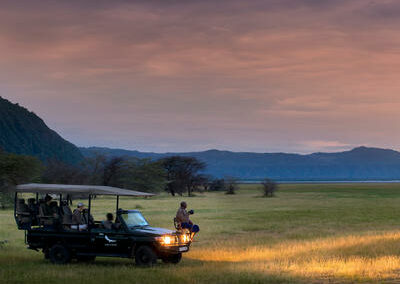 Night Game Drives