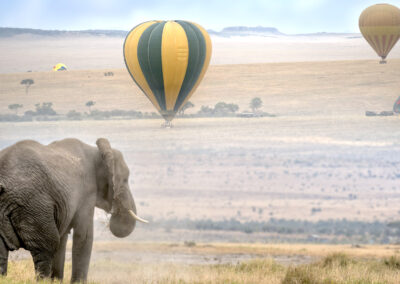 Hot Air Balloon Safaris