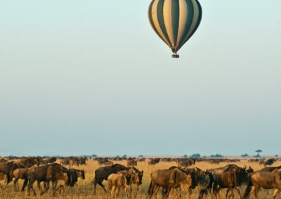 Hot Air Balloon Safaris
