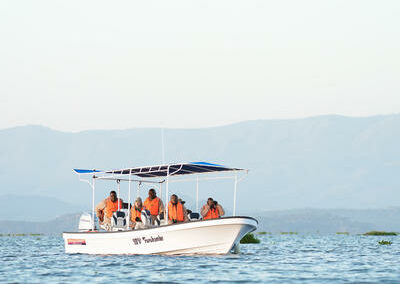 Boat Safaris