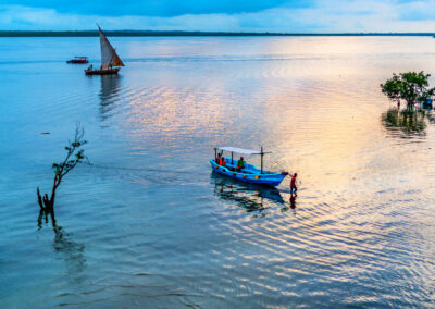 Dhow Sailing Experiences
