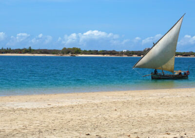 Dhow Sailing Experiences