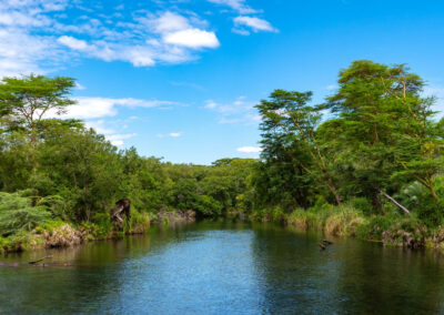 Galana River Wildlife Tracking