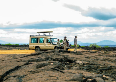 Game Drives Across Volcanic Terrain