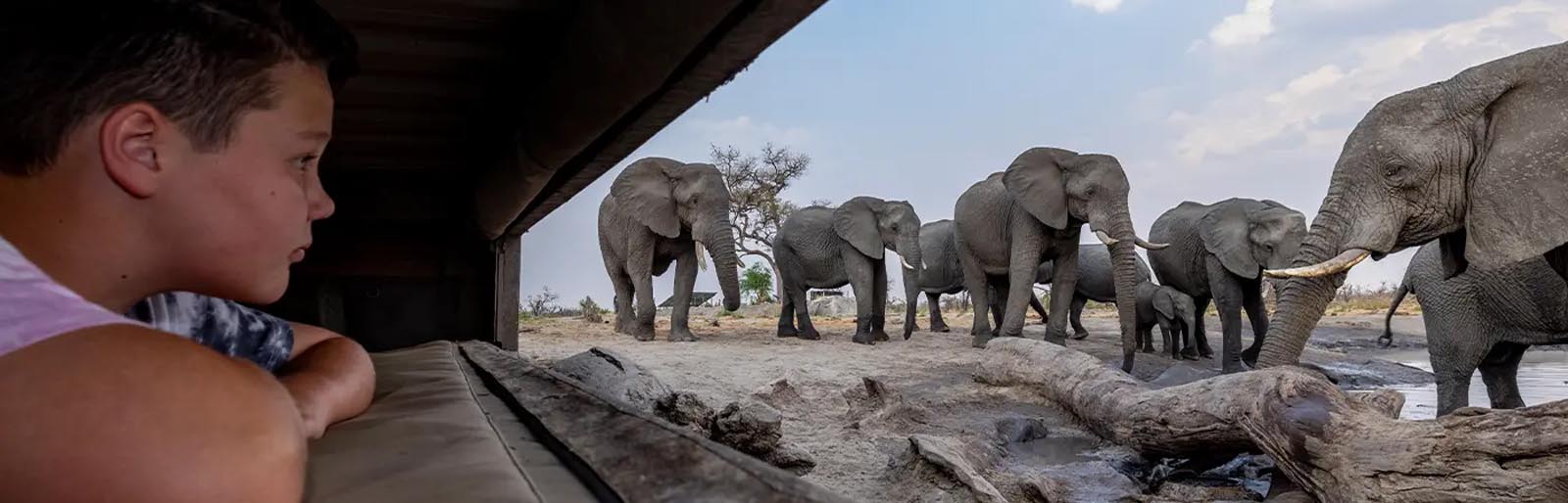 Botswana Safari