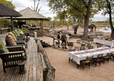 First Botswana Safari with Adventures Africa