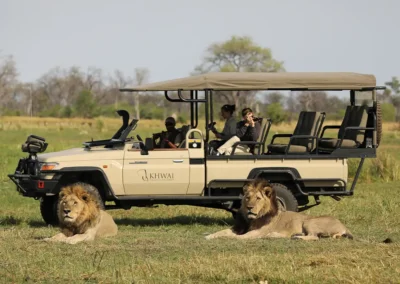 Iconic Botswana Safari with Adventures Africa