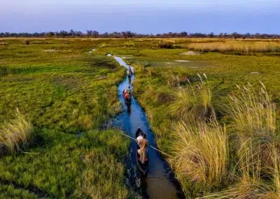 Iconic Botswana Safari with Adventures Africa