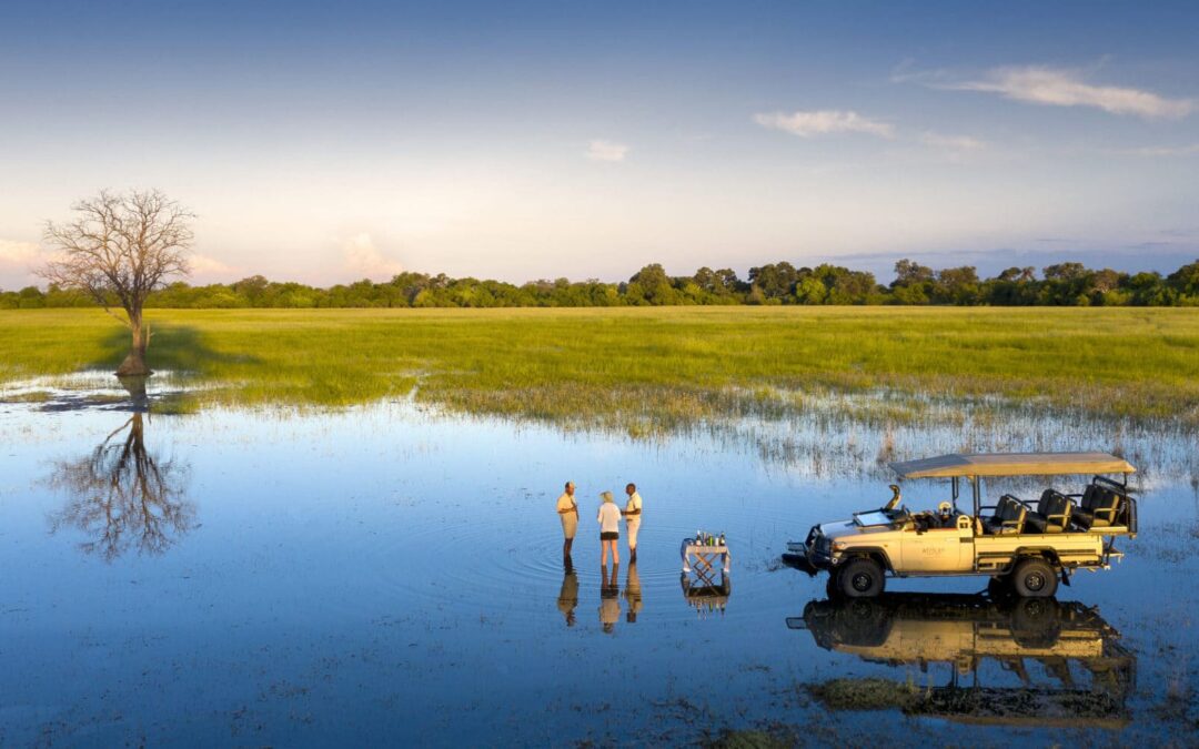 10 Day Luxury Emerald Safari