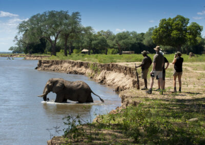 Mana Pools Dook
