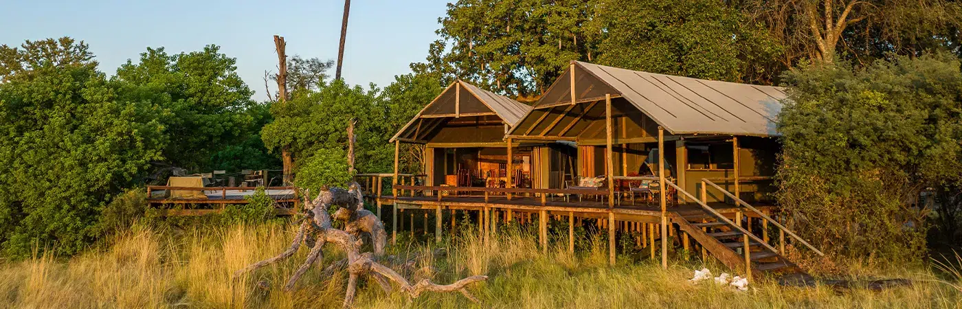 Botswana Safari