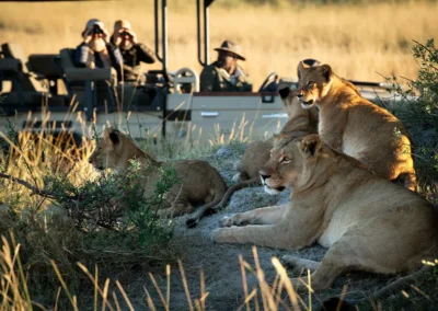 Signature Honeymoon Safari with Adventures Africa