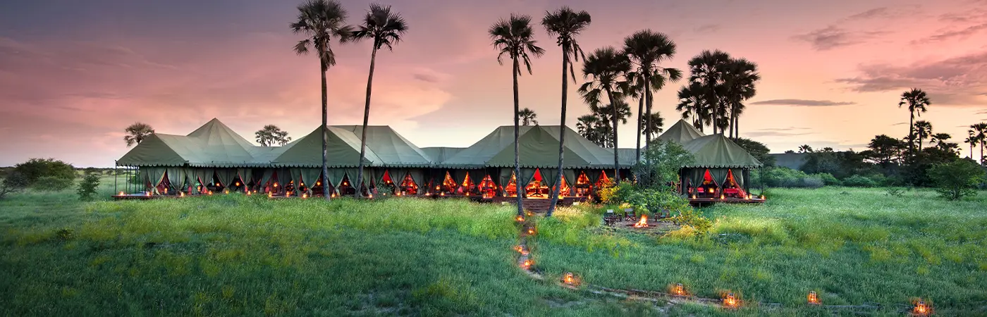Botswana Safari