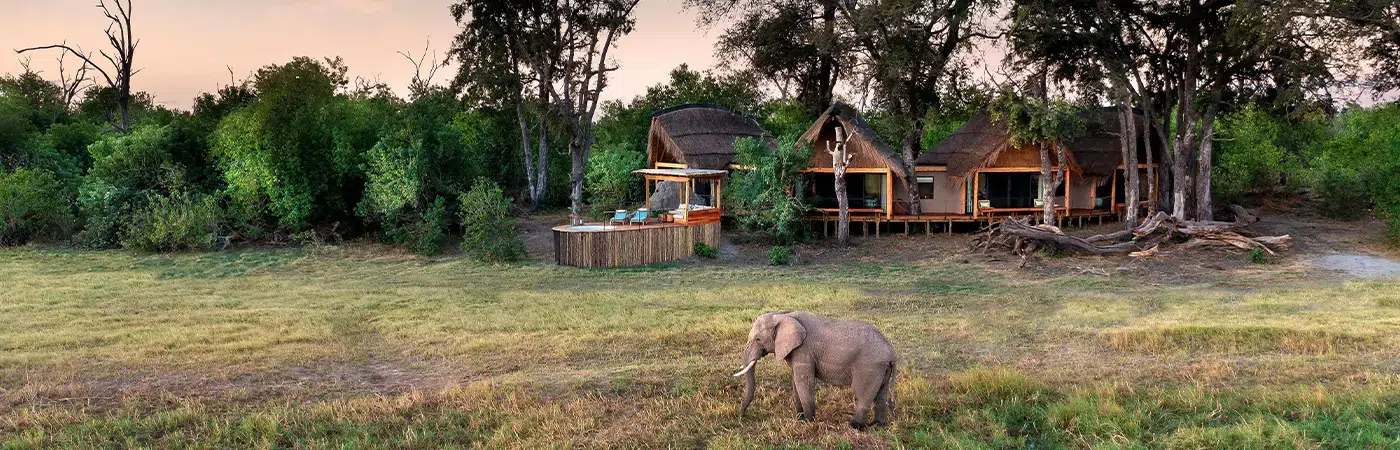 Botswana Safari