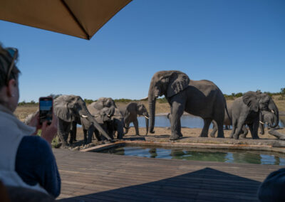 Somalisa Camp with Adventures Africa