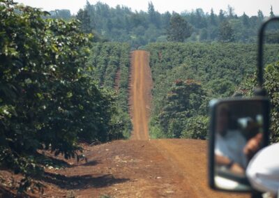 Coffee Plantation Visits