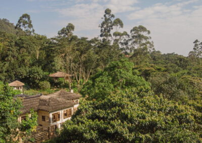 Mabamba Shoebill Excursions