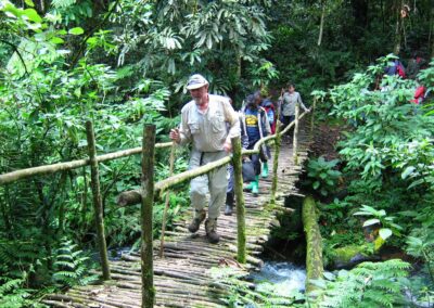Forest Hiking Trails
