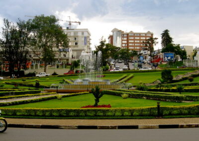 City & Market Tours
