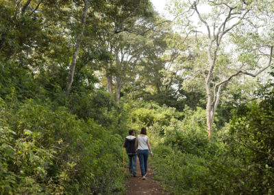Hadzabe Tribe Experience