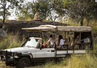 Game Drives