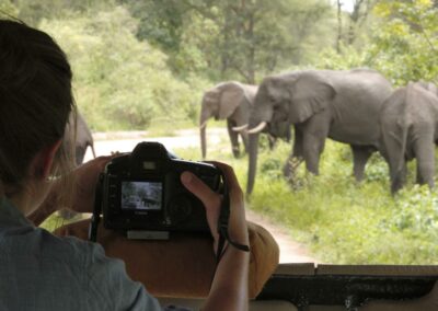 Game Drives