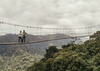 Canopy Walk Experience