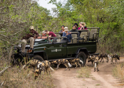 Sabi Sabi Saleti Camp with Adventures Africa