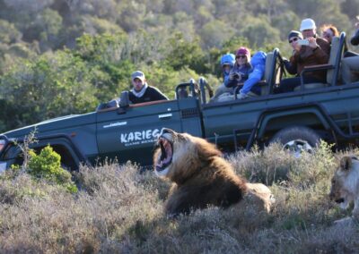 Adventures Africa