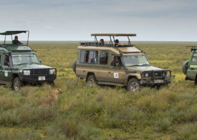 Arusha NP Game Drives