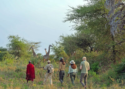 Arusha NP Walking Safaris