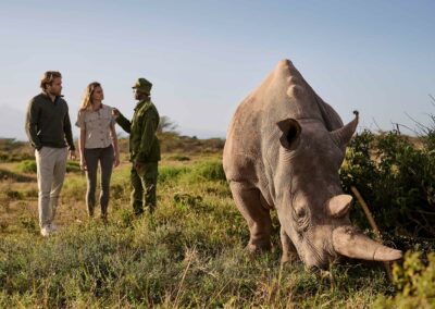Rhino Tracking Experience