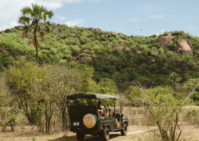 Nyerere Game Drives