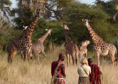 Nyerere Walking Safaris